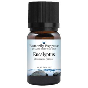 EucalyptusR