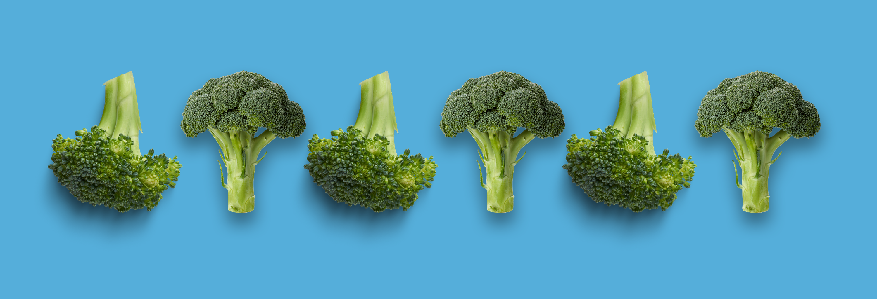 Broccoli on blue background
