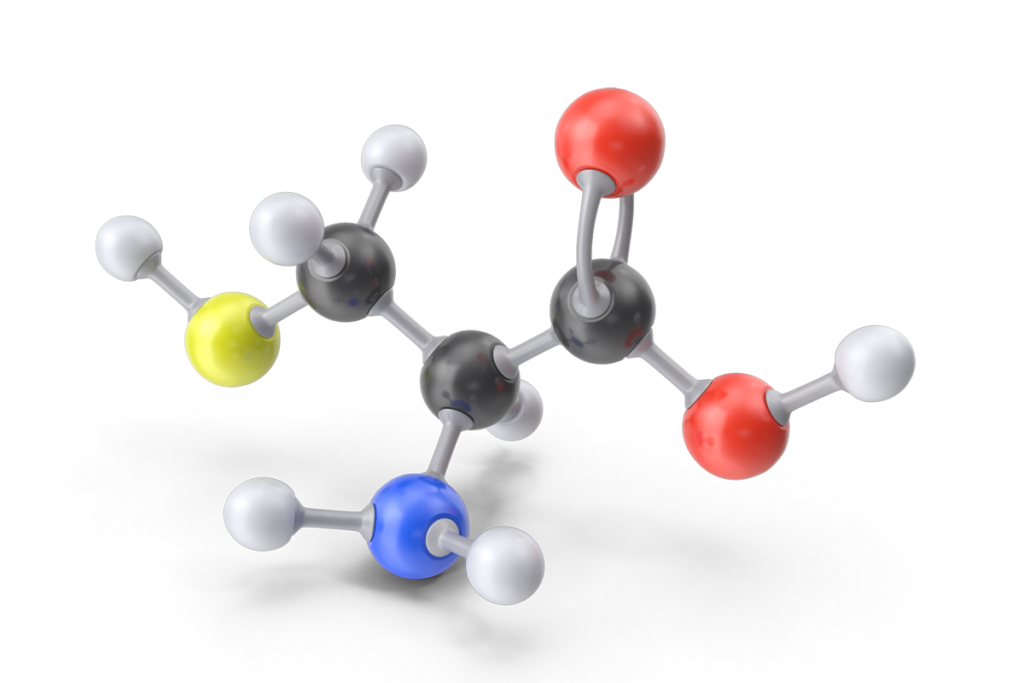 Cysteine Molecule